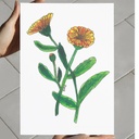 Sunset Horizon Canvas Art