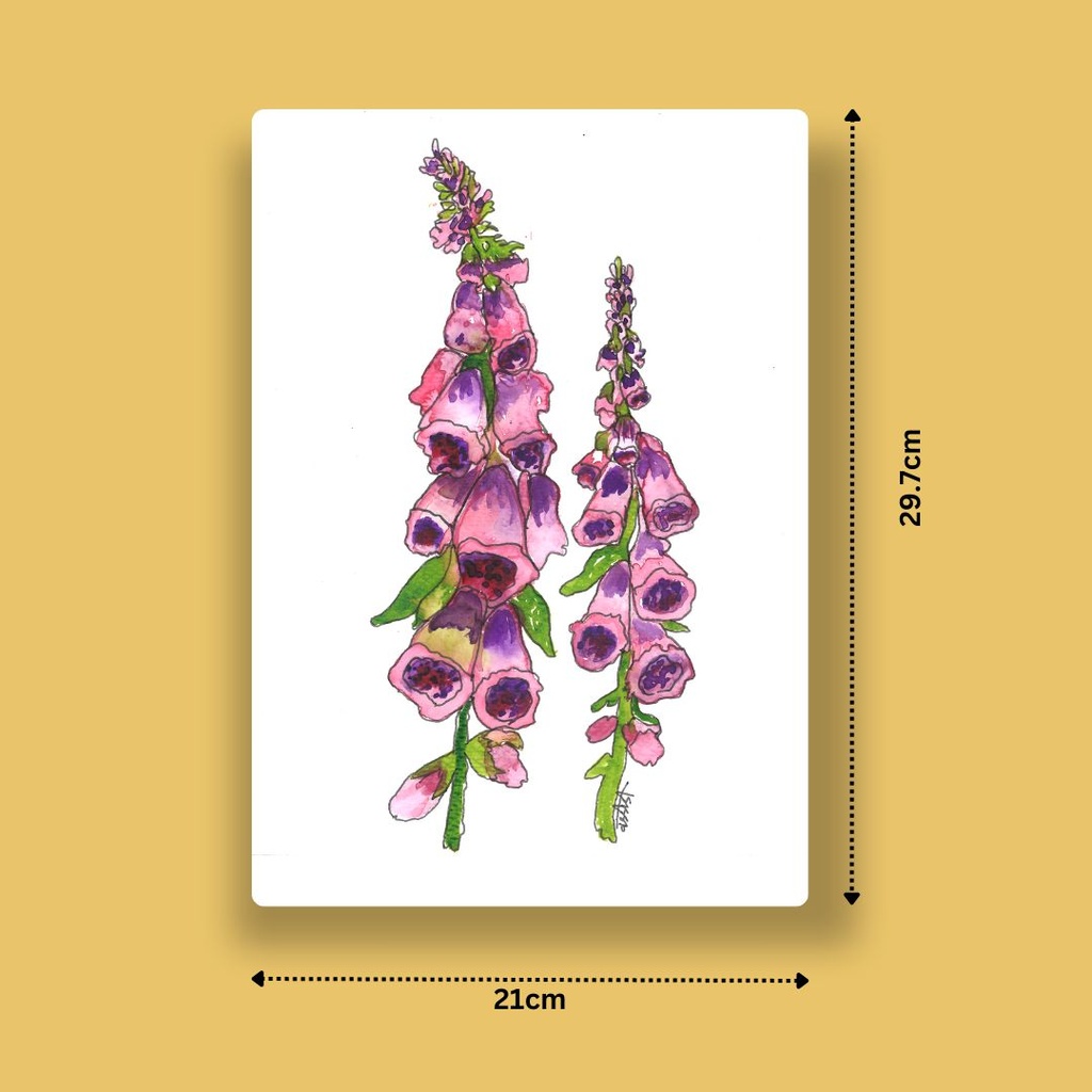 Enchanting Digitalis | A4 Wall Poster
