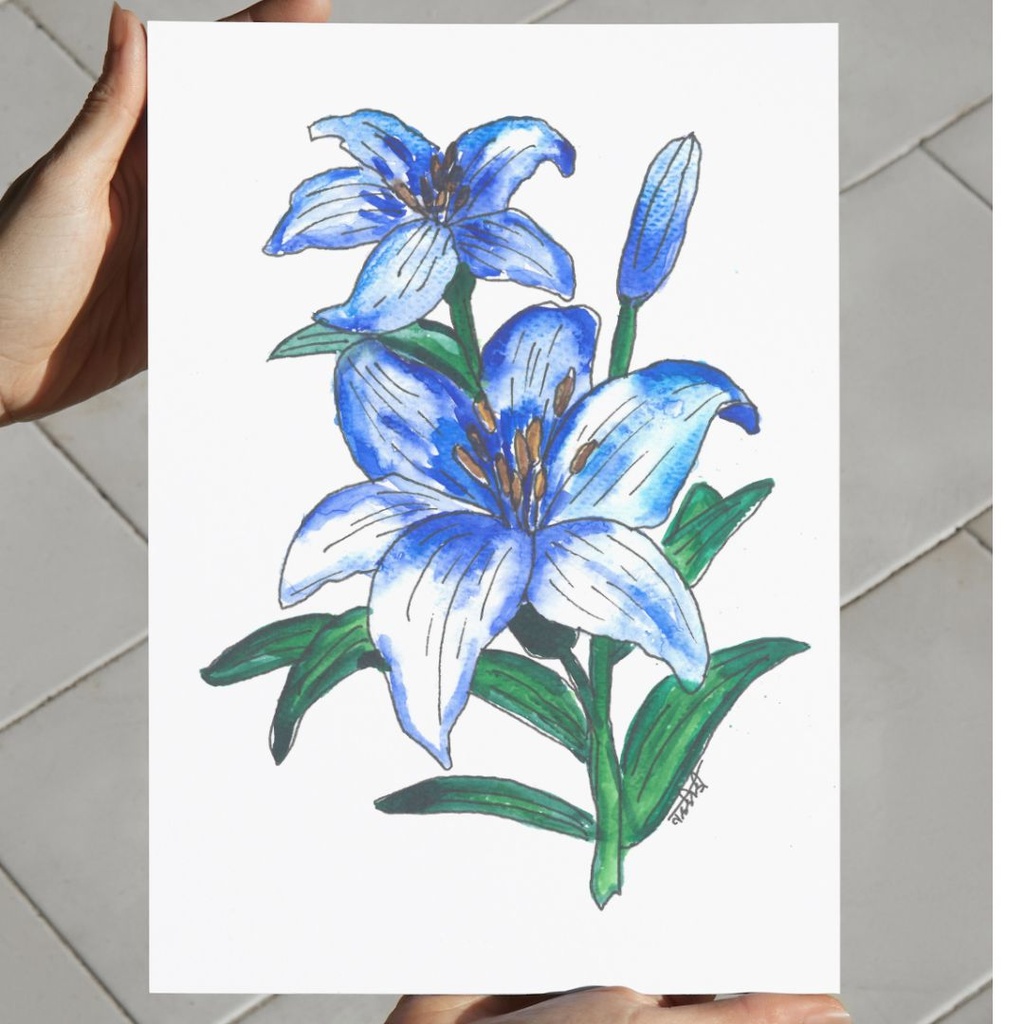 Delicate Lilium | A4 Wall Poster