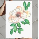 Nature's Charm | A4 Wall Poster