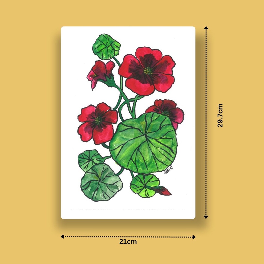 Tropaeolum Majesty | A4 Wall Poster