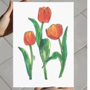Tulip Grace | A4 Wall Poster