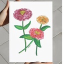 Zinnia Radiance | A4 Wall Poster