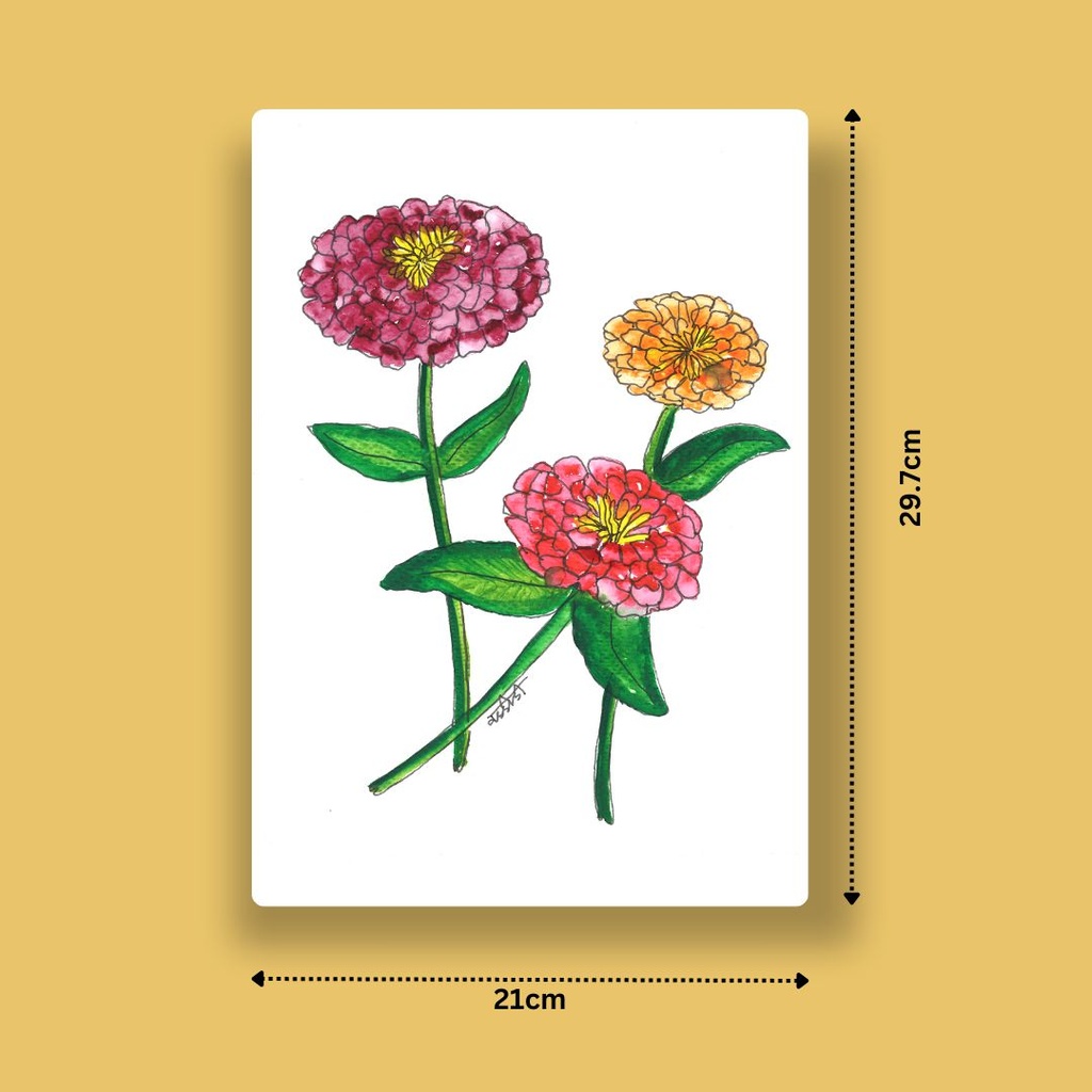Zinnia Radiance | A4 Wall Poster