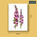 Digitalis | A5 Table Poster | Only Print