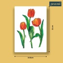 Tulipa-28.jpg