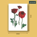Scarlet Poppy | A5 Table Poster | Only Print