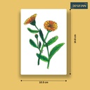 Calendula | A6 Card | Only Print