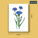 Centaurea Cyanus | A6 Card | Only Print