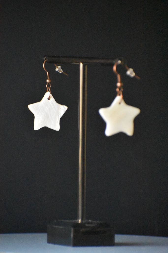 Handmade Sea Shell Earrings |  Star | Women's Earrings
