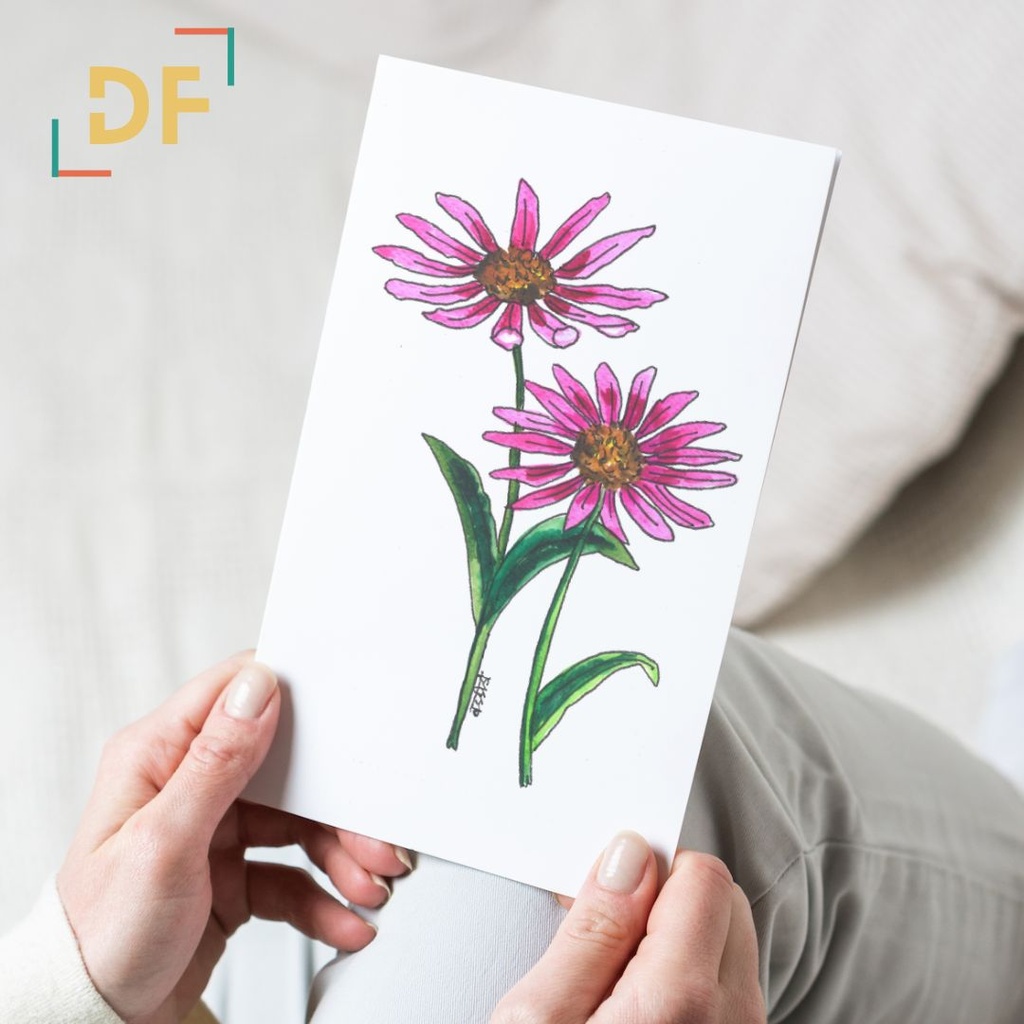 Peppy Petals - Echinacea - A6 Card | 14.8 cm x 10.5 cm x 0.1 cm | Print on High Quality 300GSM Paper