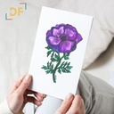 Peppy Petals - Anemona-Coronaria - A6 Card | 14.8 cm x 10.5 cm x 0.1 cm | Print on High Quality 300GSM Paper