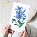 Peppy Petals - Lilium - A6 Card | 14.8 cm x 10.5 cm x 0.1 cm | Print on High Quality 300GSM Paper